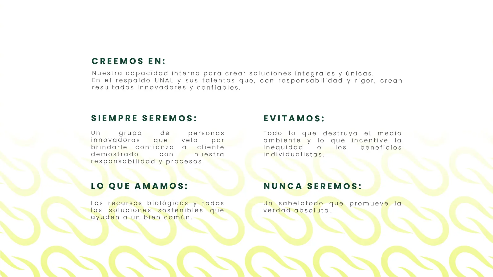 Bioenlace — mesa de trabajo 6