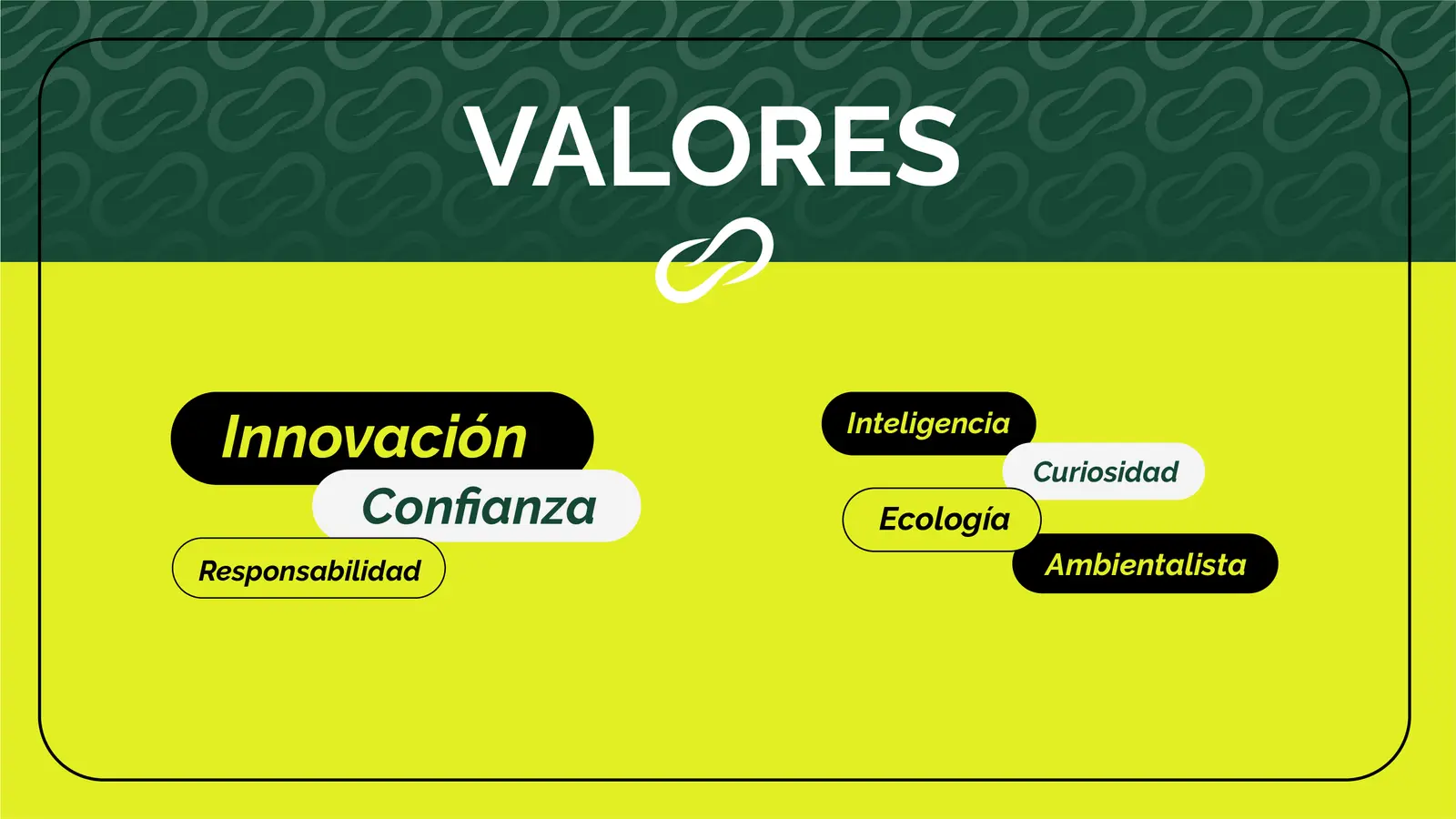 Bioenlace — mesa de trabajo 9