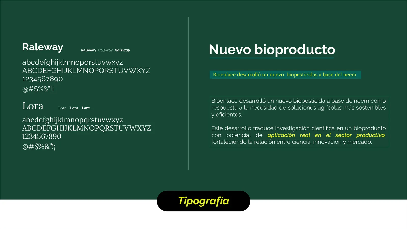 Bioenlace — mesa de trabajo 12