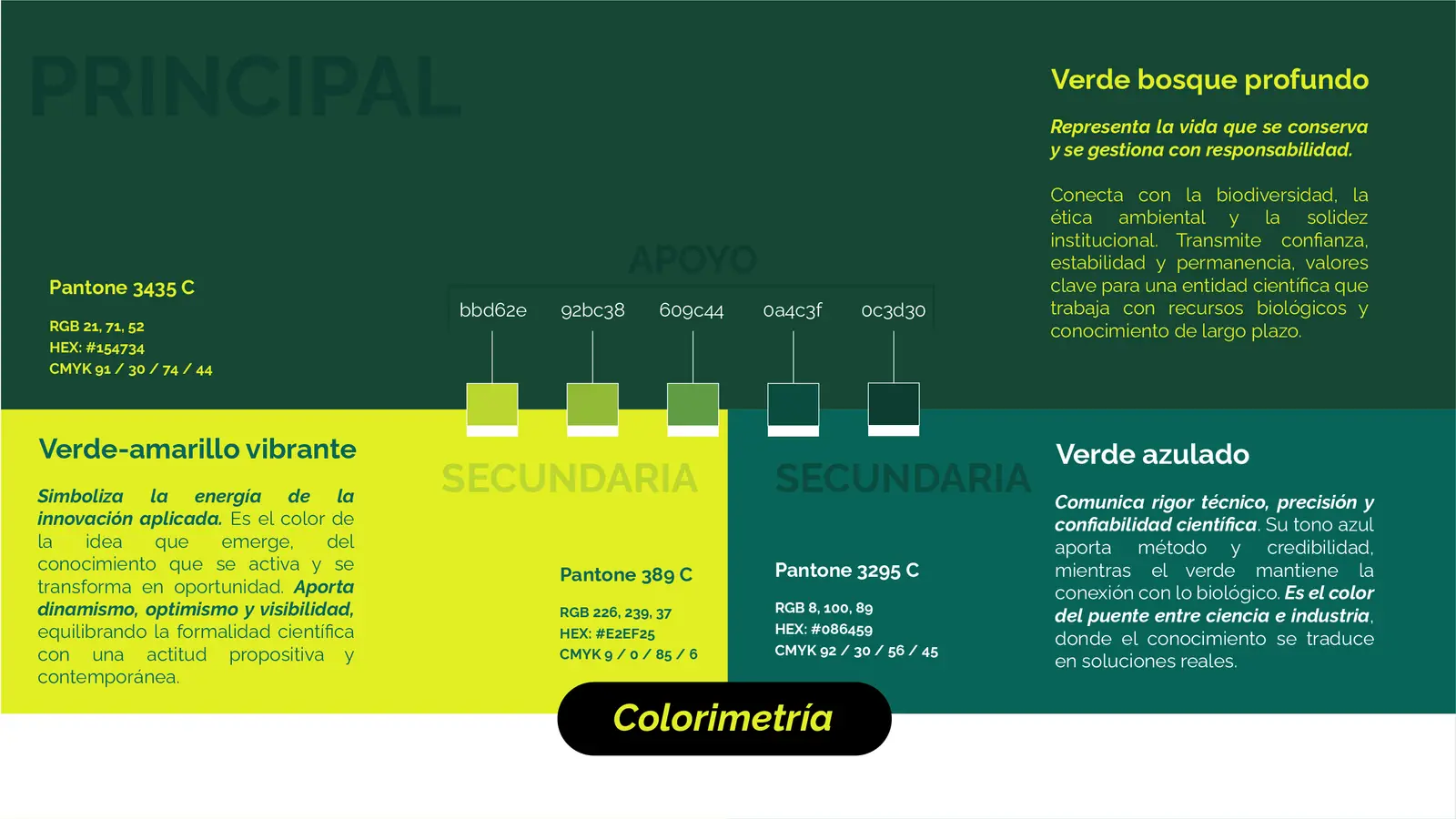 Bioenlace — mesa de trabajo 13
