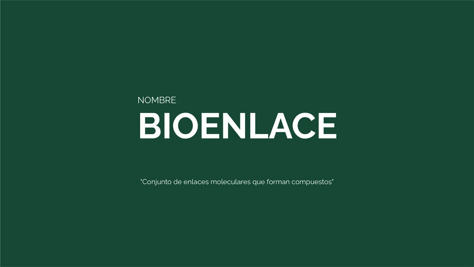Bioenlace — mesa de trabajo 14