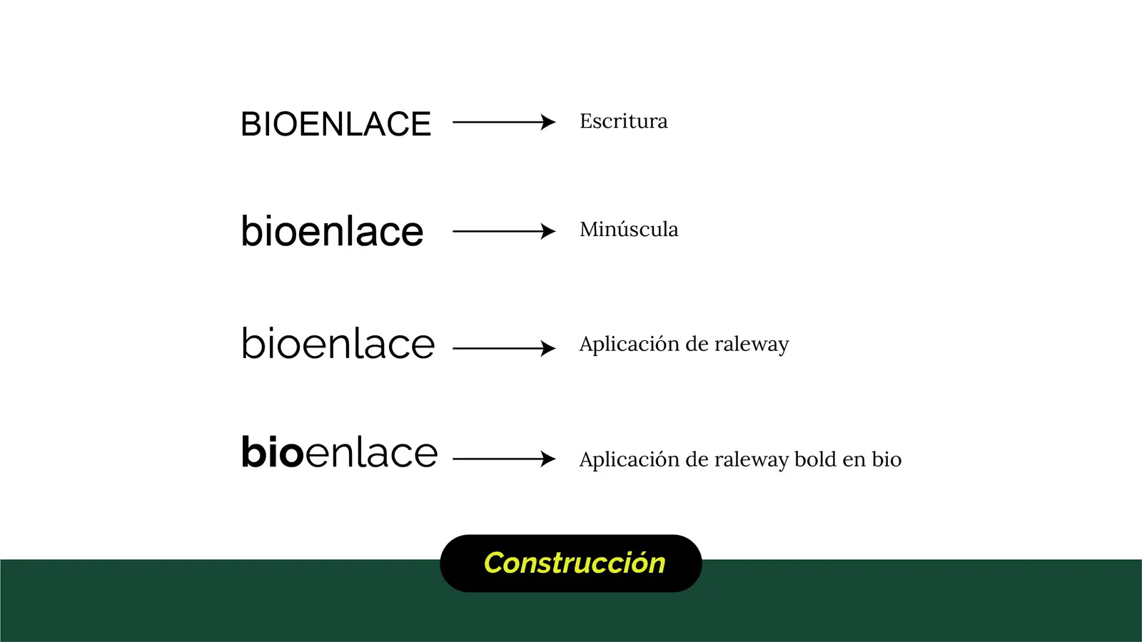 Bioenlace — mesa de trabajo 15