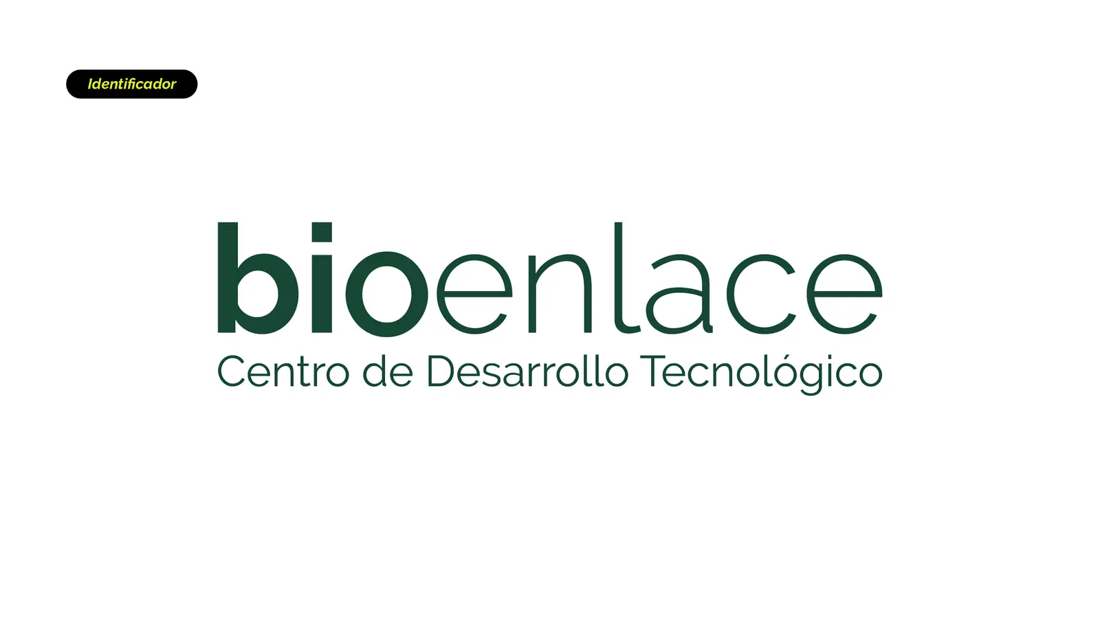 Bioenlace — mesa de trabajo 16