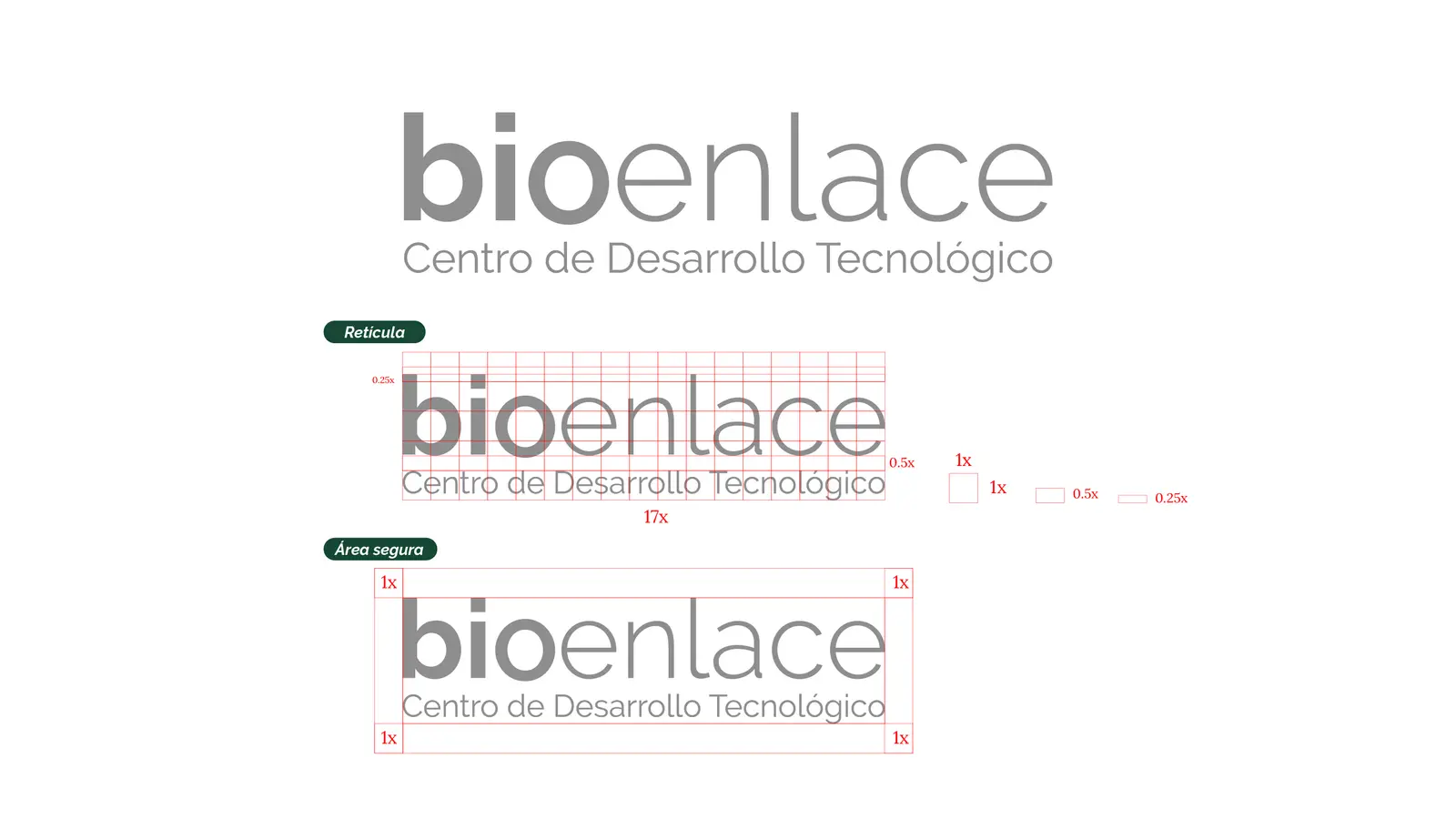 Bioenlace — mesa de trabajo 18