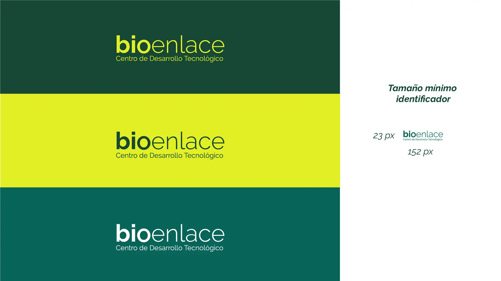 Bioenlace — mesa de trabajo 19