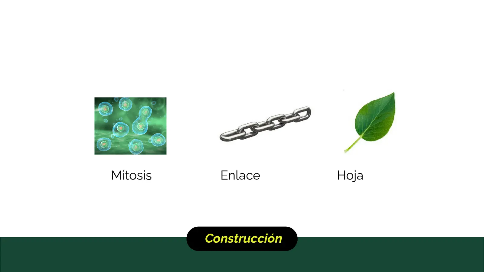 Bioenlace — mesa de trabajo 20