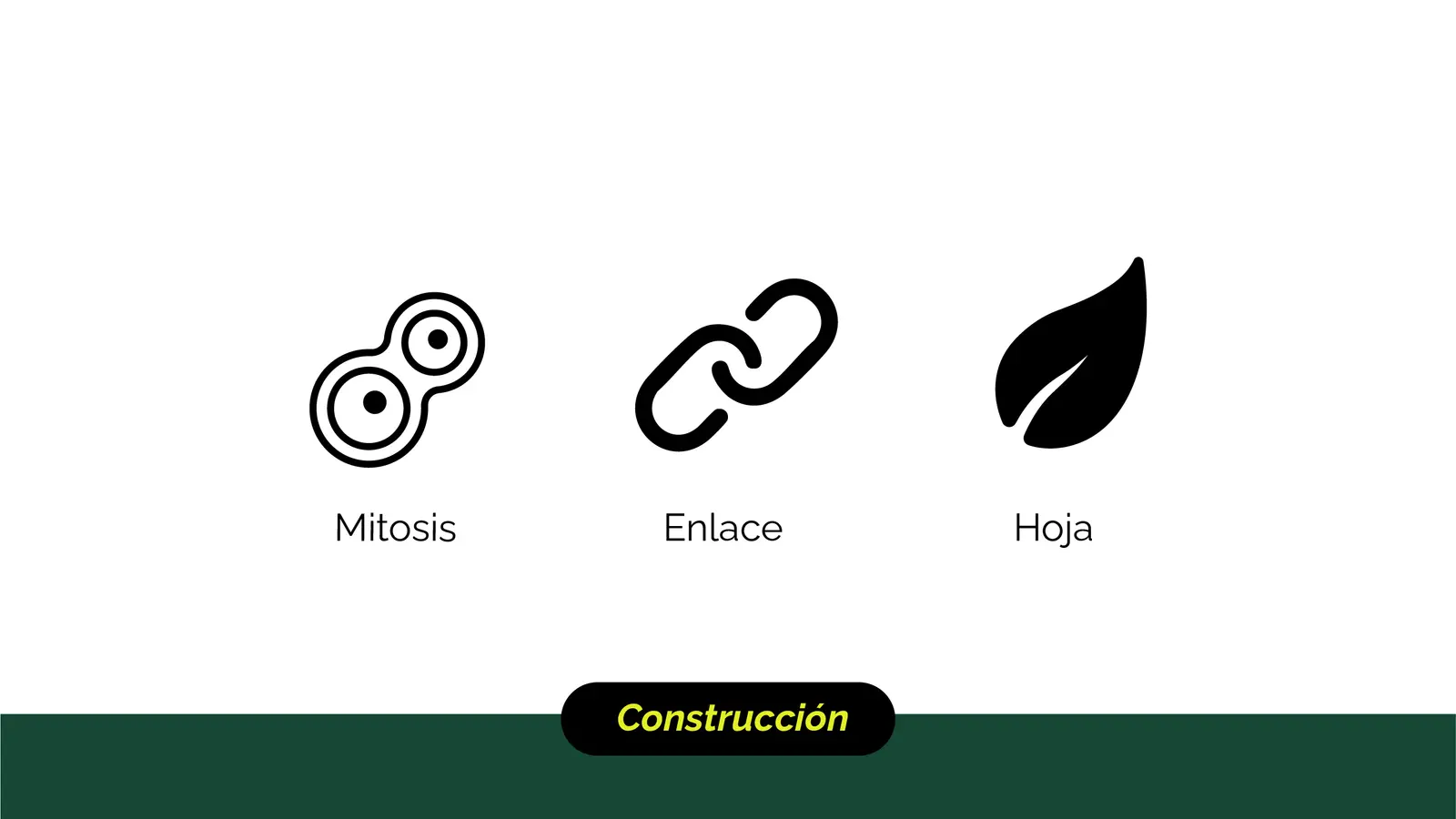 Bioenlace — mesa de trabajo 21