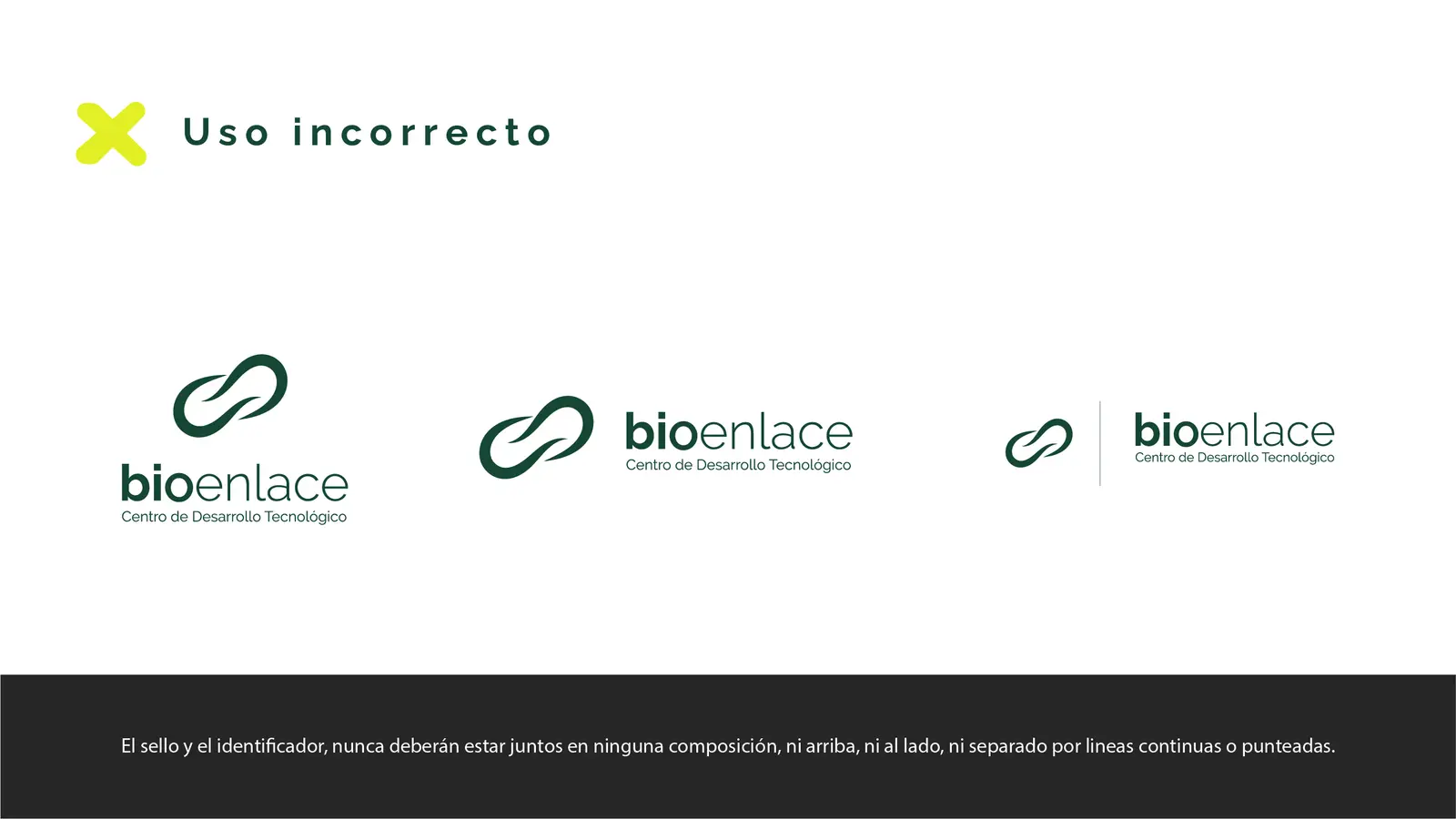 Bioenlace — mesa de trabajo 26