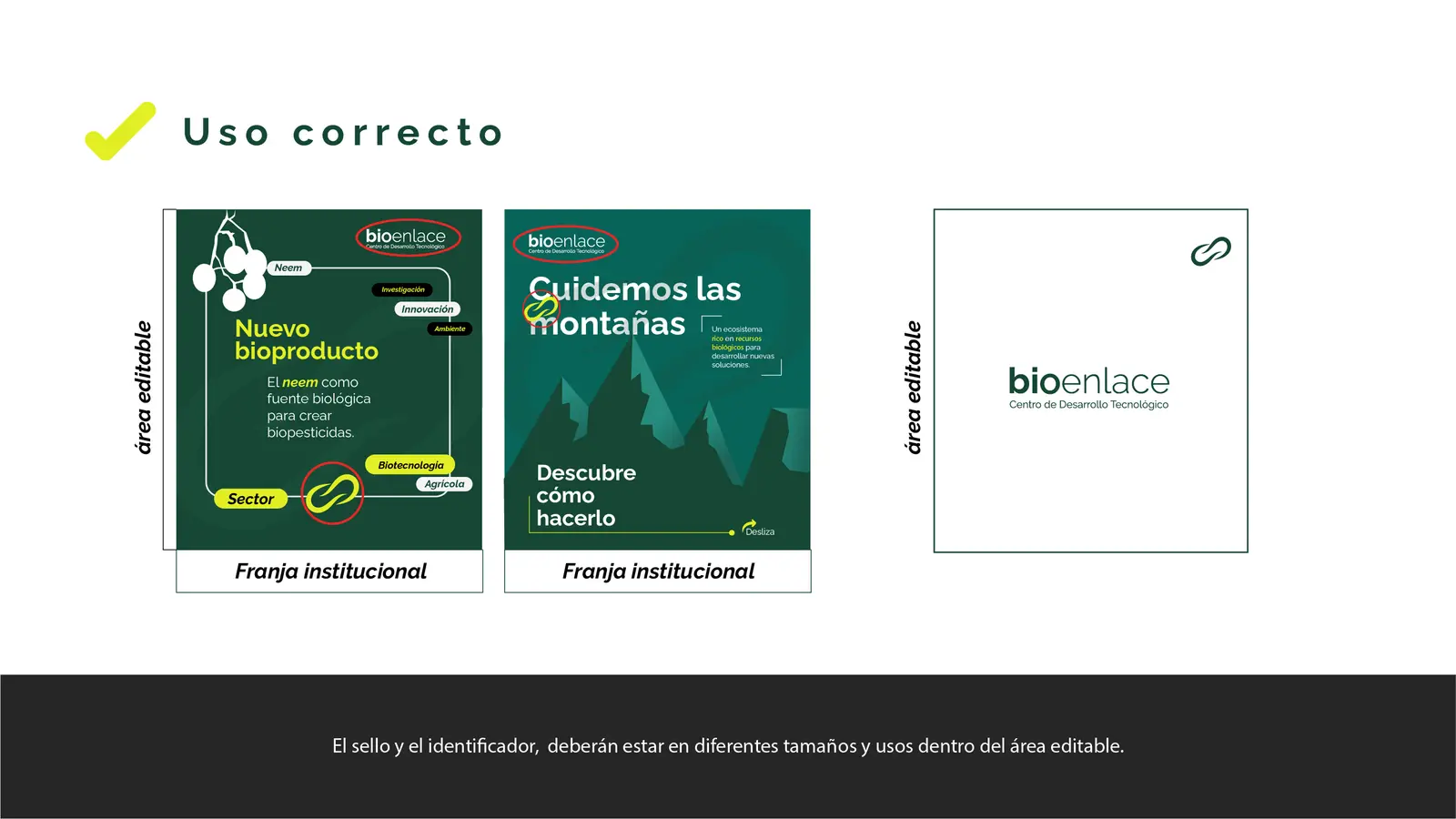 Bioenlace — mesa de trabajo 27