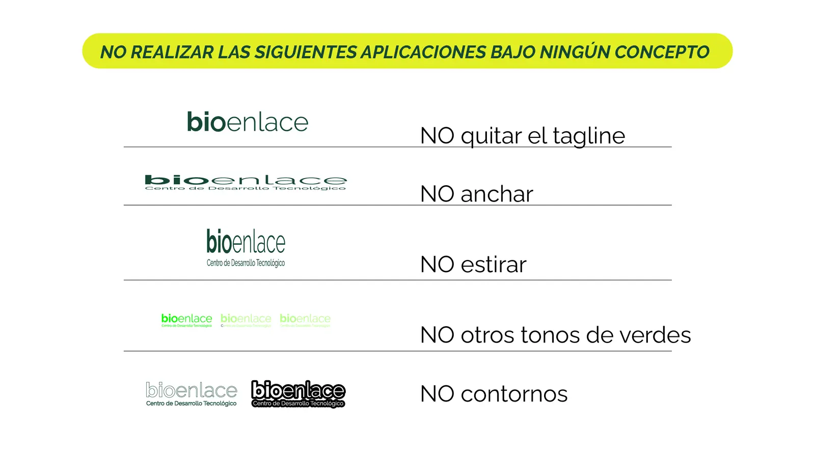 Bioenlace — mesa de trabajo 29
