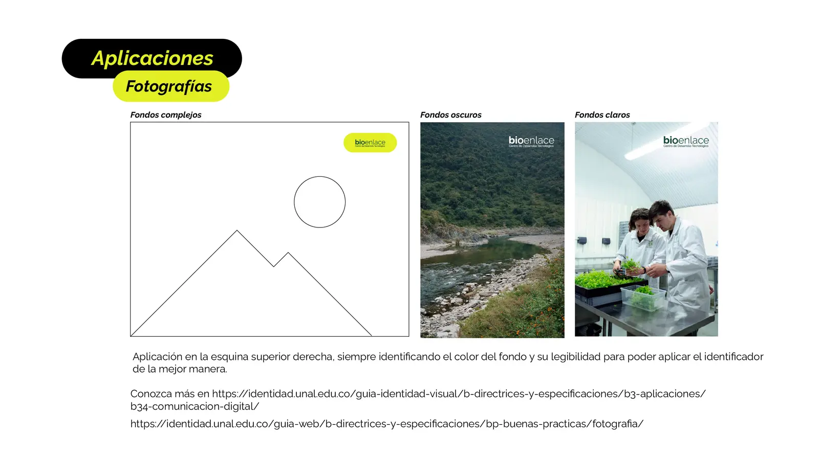 Bioenlace — mesa de trabajo 32