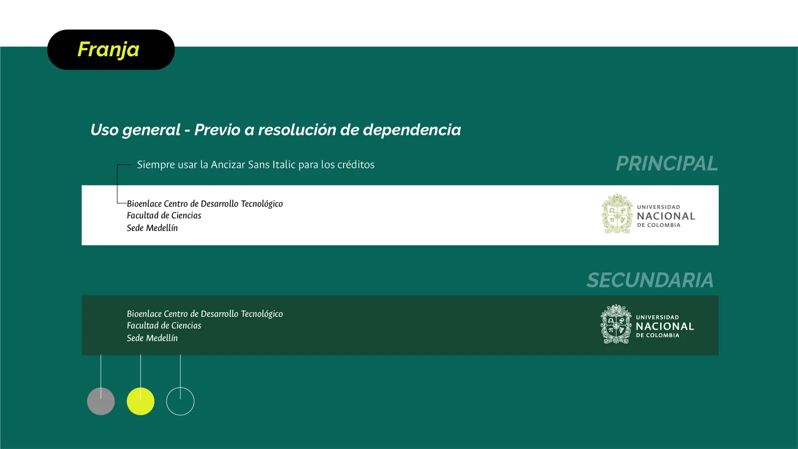 Bioenlace — mesa de trabajo 37