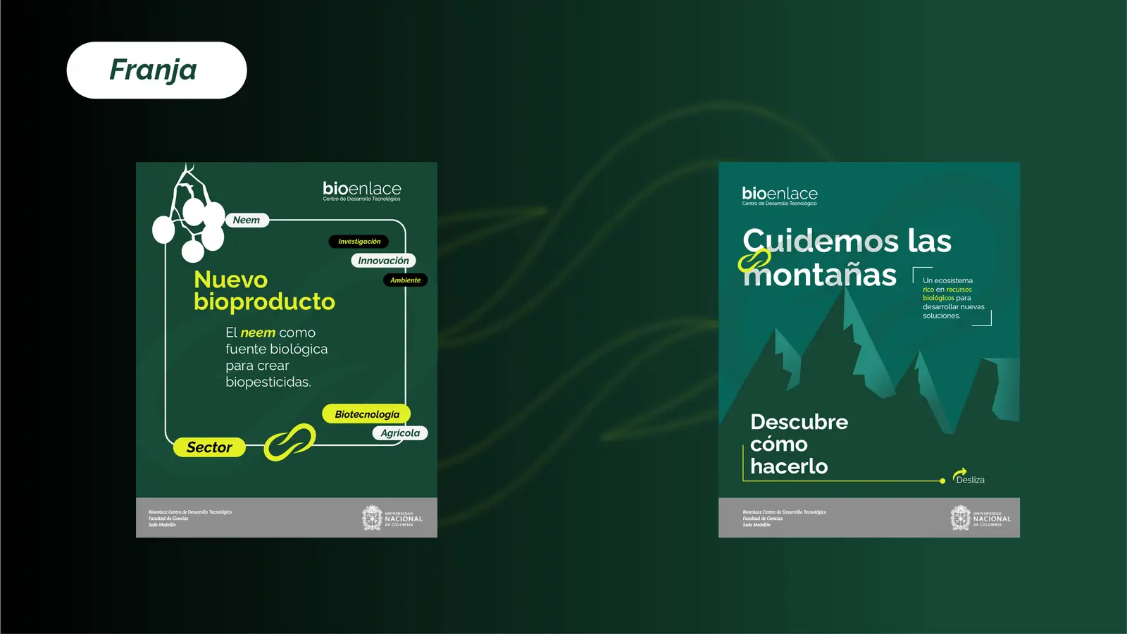 Bioenlace — mesa de trabajo 39