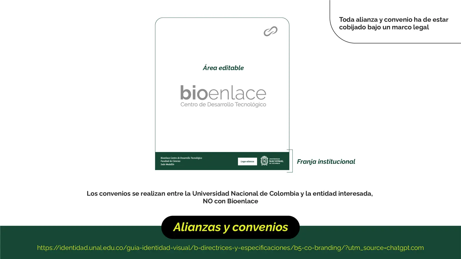 Bioenlace — mesa de trabajo 41