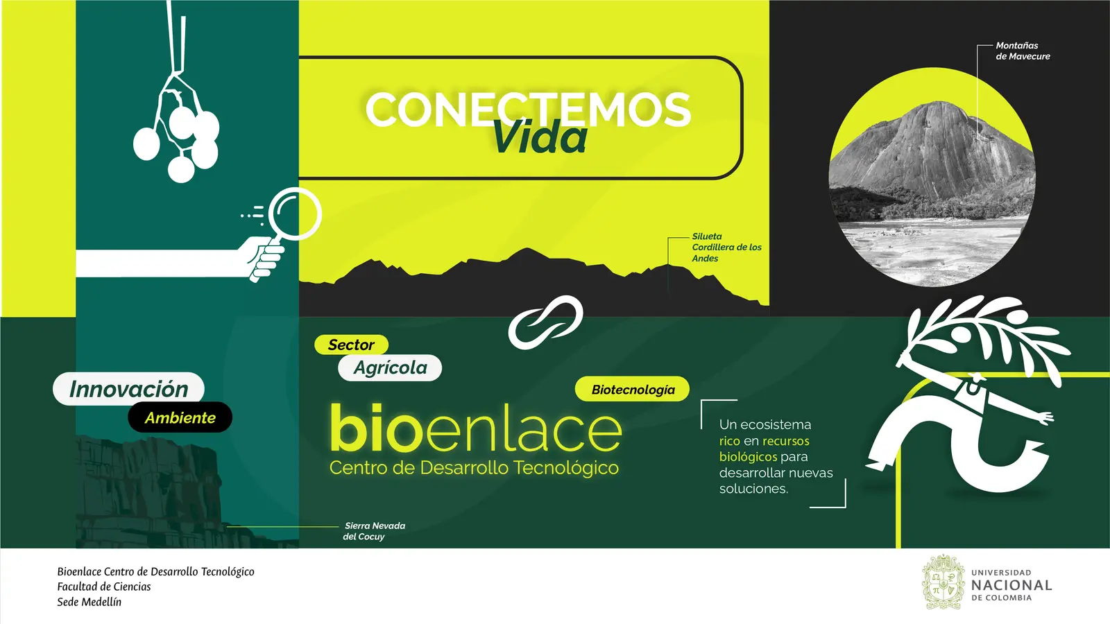 Bioenlace — mesa de trabajo 47