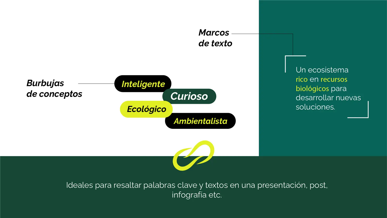 Bioenlace — mesa de trabajo 48