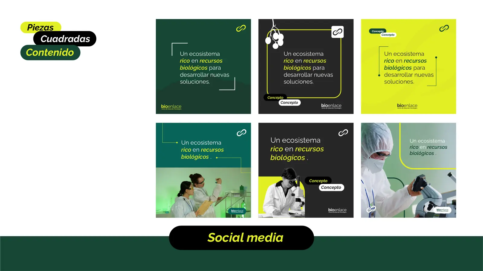 Bioenlace — mesa de trabajo 58