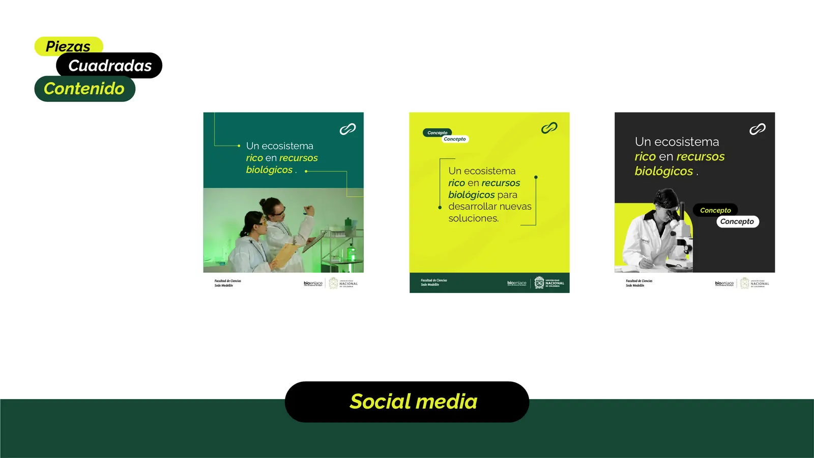 Bioenlace — mesa de trabajo 59