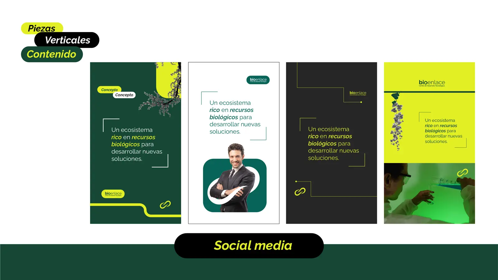 Bioenlace — mesa de trabajo 61