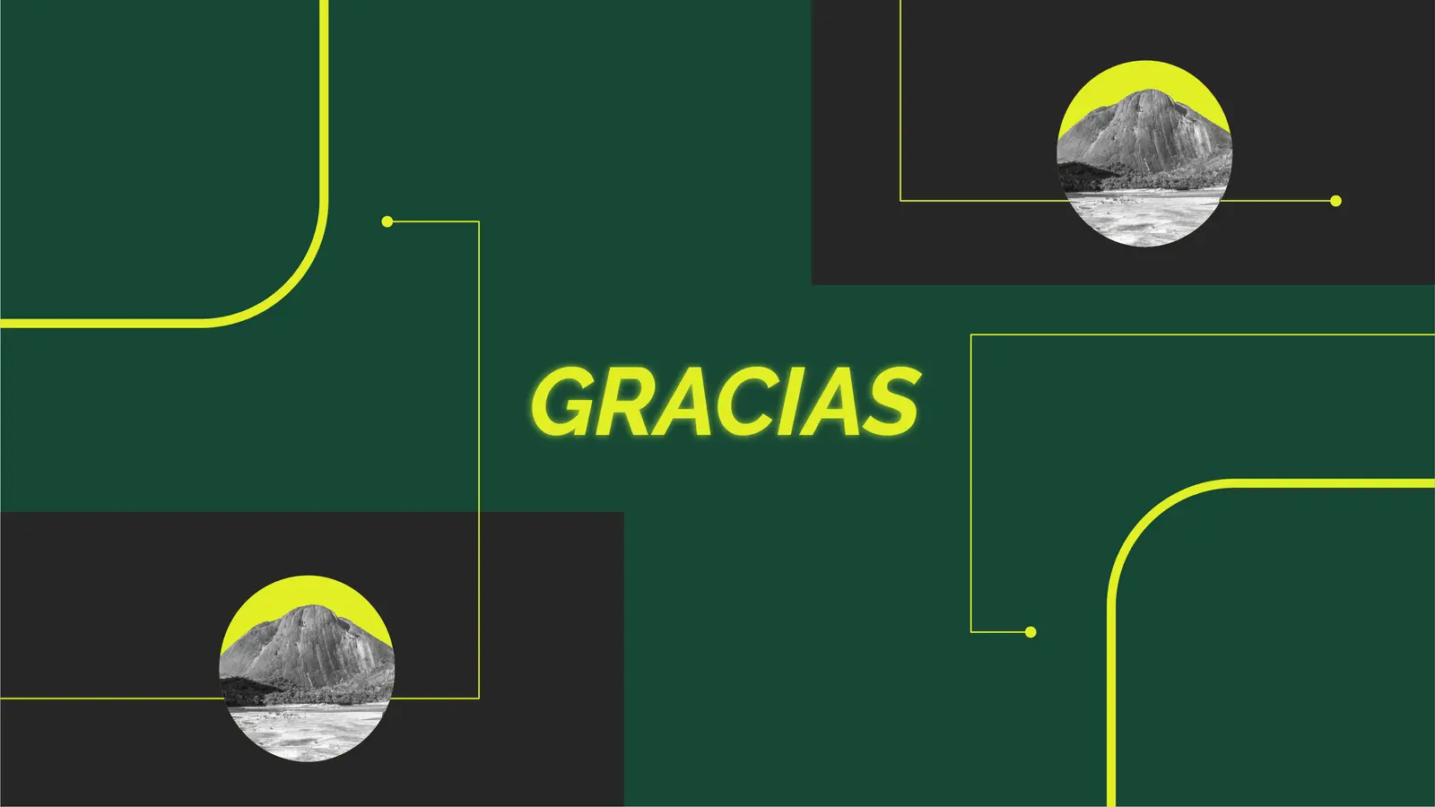 Bioenlace — mesa de trabajo 62