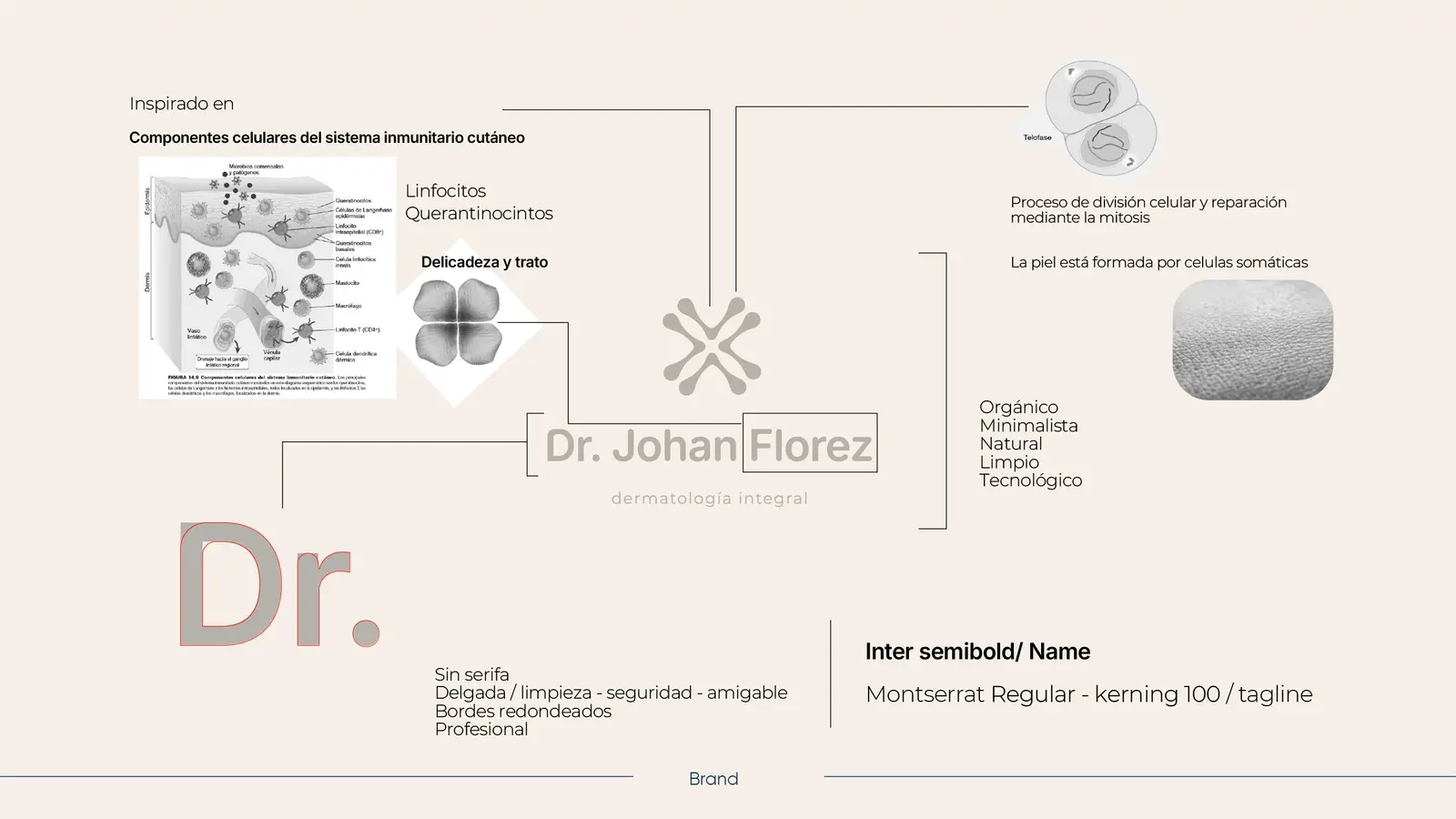 Dr. Johan Flórez Hurtado — mesa de trabajo 9